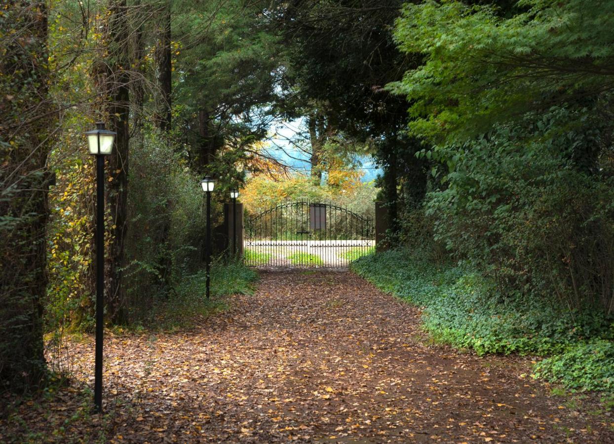 Birches Cottage & The Willows Garden Room Underberg Exterior photo