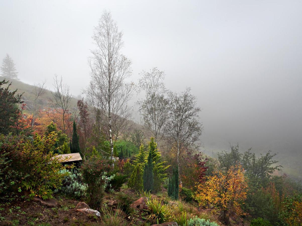 Birches Cottage & The Willows Garden Room Underberg Exterior photo