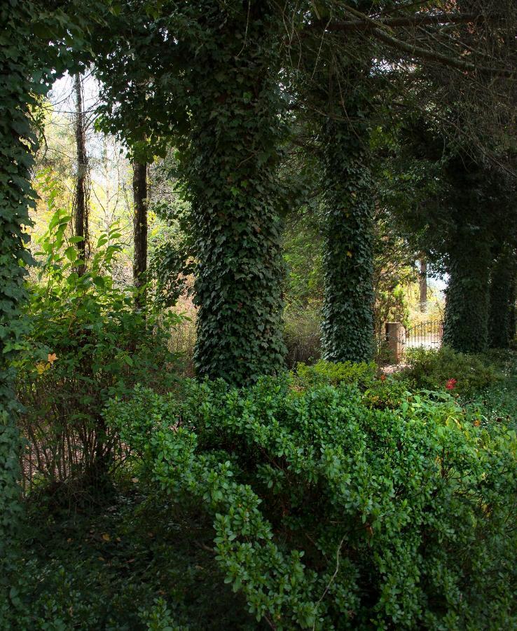 Birches Cottage & The Willows Garden Room Underberg Exterior photo