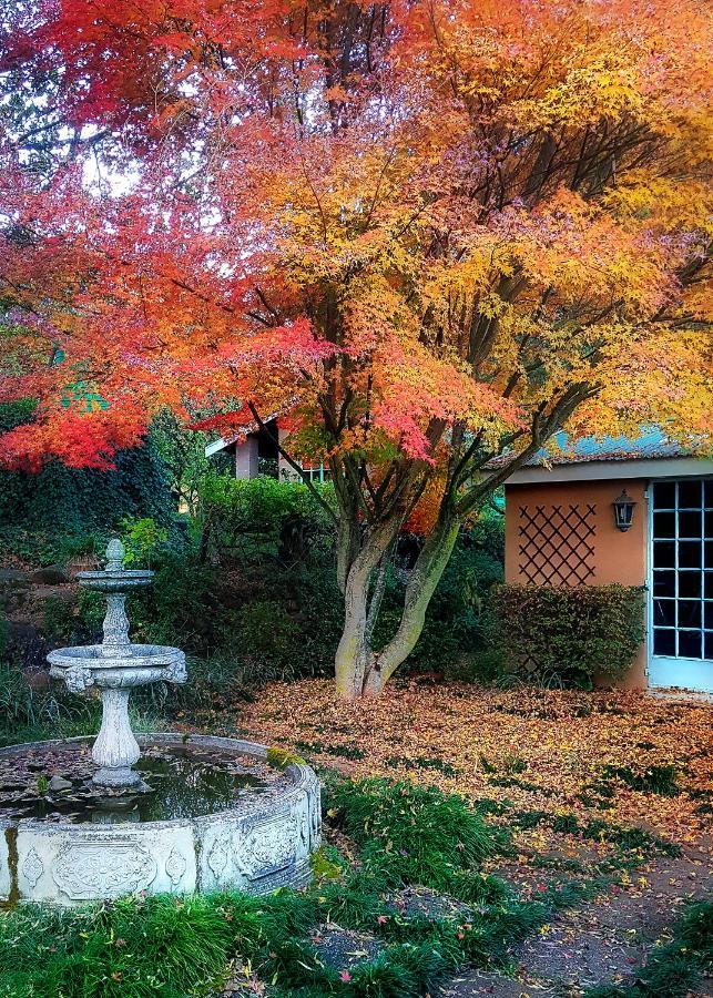 Birches Cottage & The Willows Garden Room Underberg Exterior photo