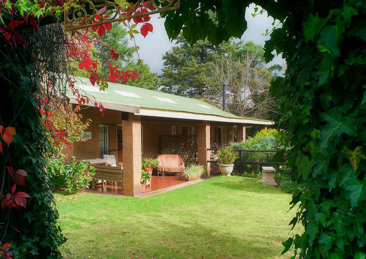 Birches Cottage & The Willows Garden Room Underberg Exterior photo