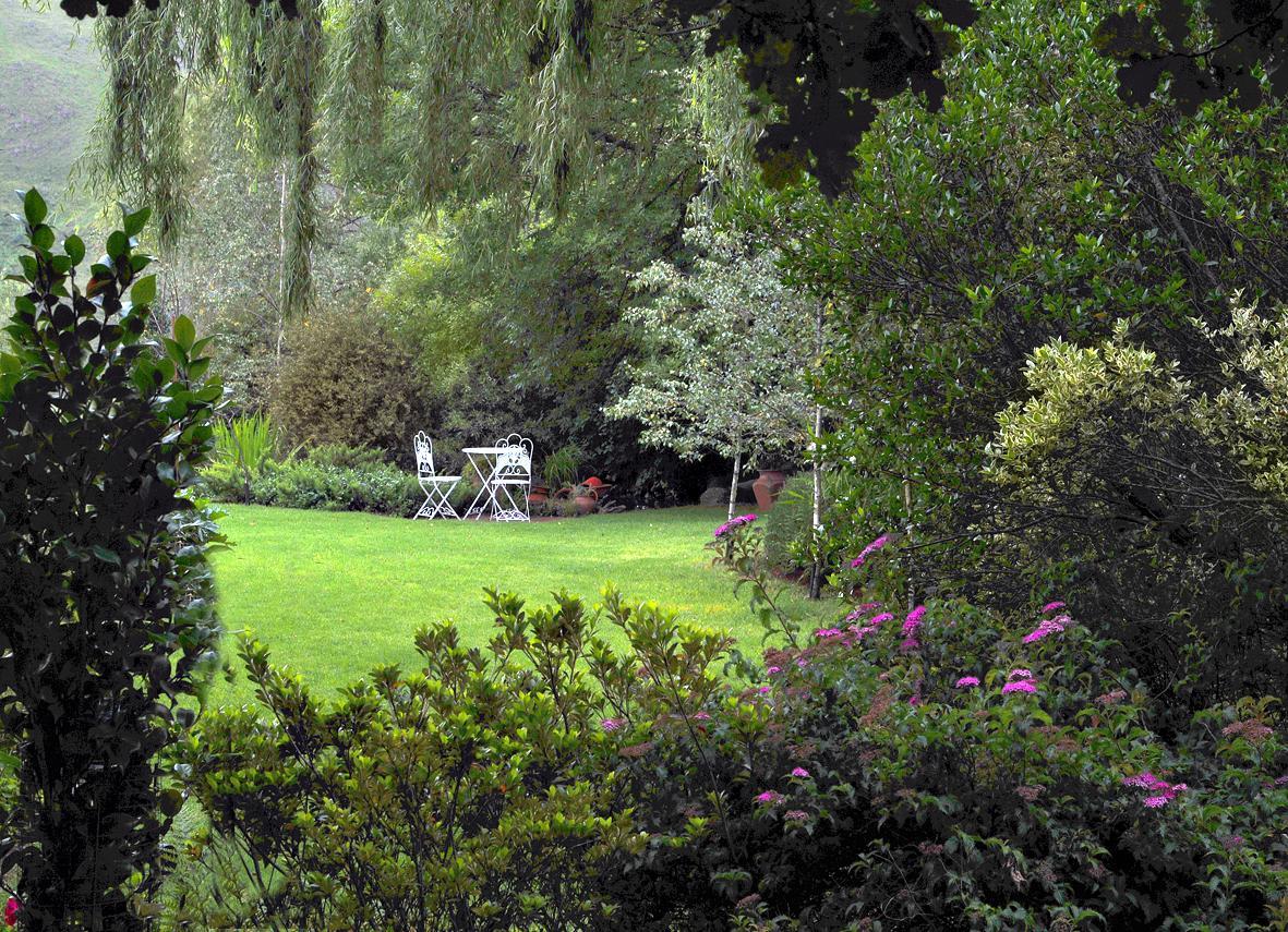 Birches Cottage & The Willows Garden Room Underberg Exterior photo