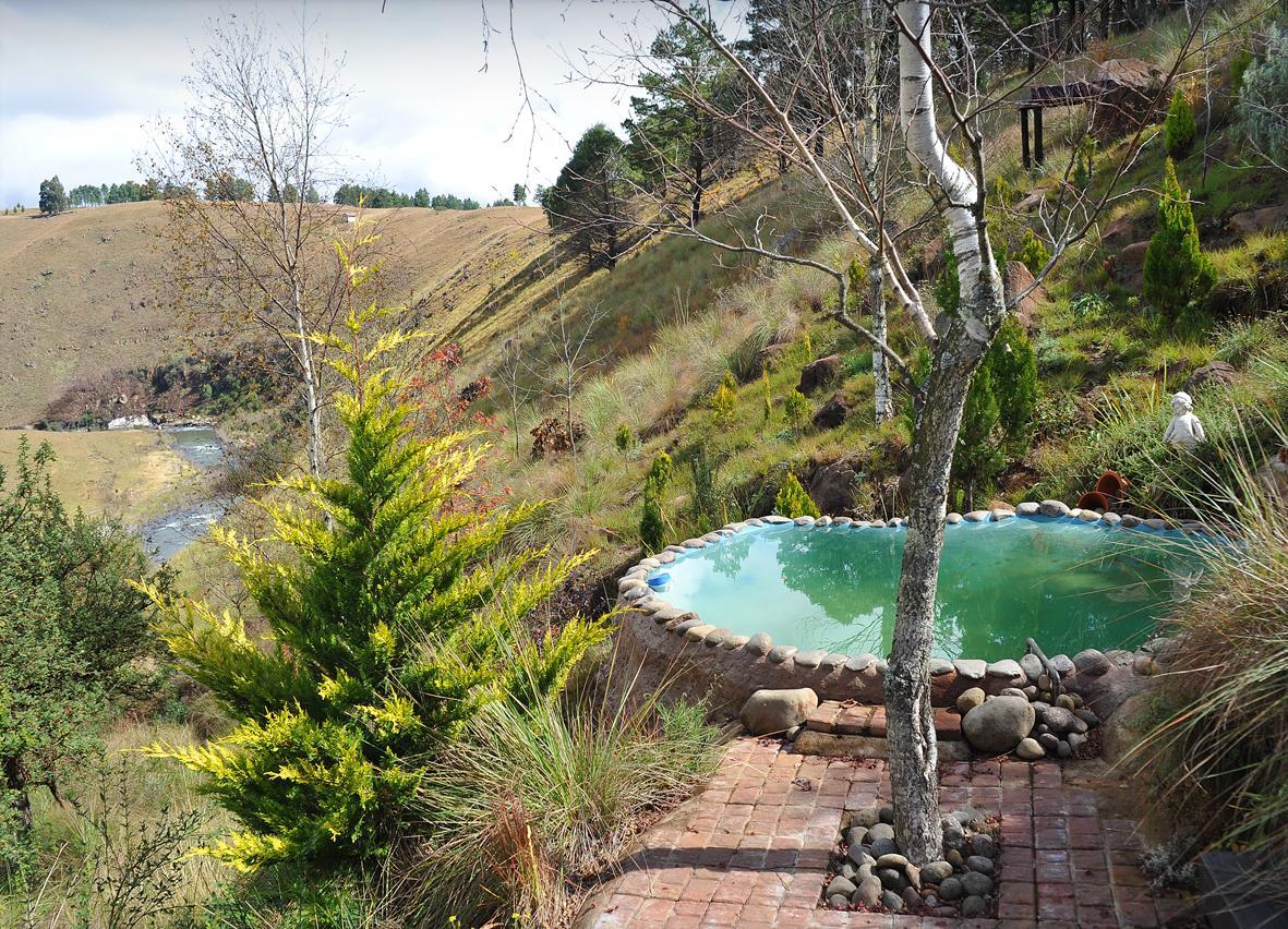 Birches Cottage & The Willows Garden Room Underberg Exterior photo