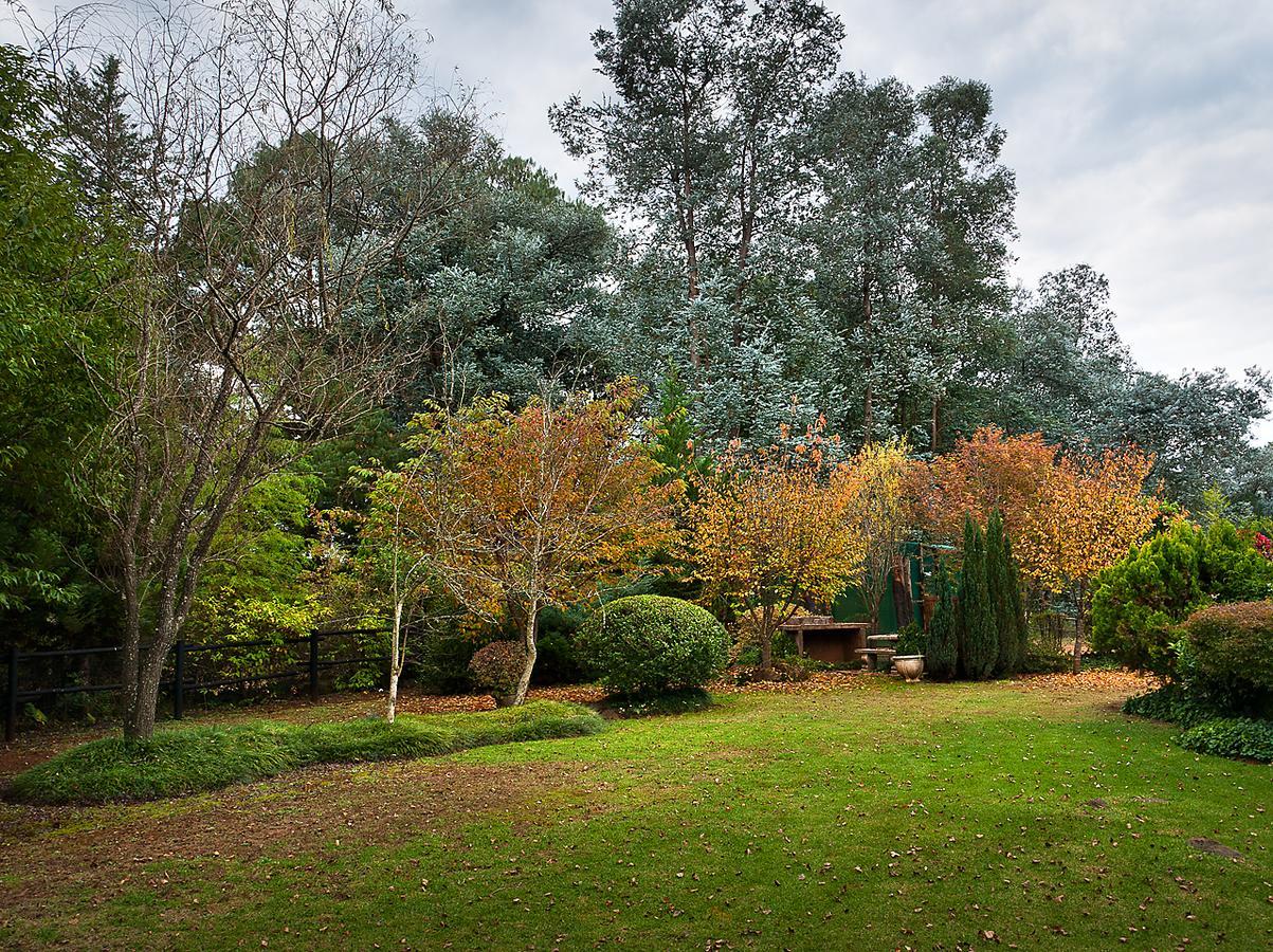 Birches Cottage & The Willows Garden Room Underberg Exterior photo