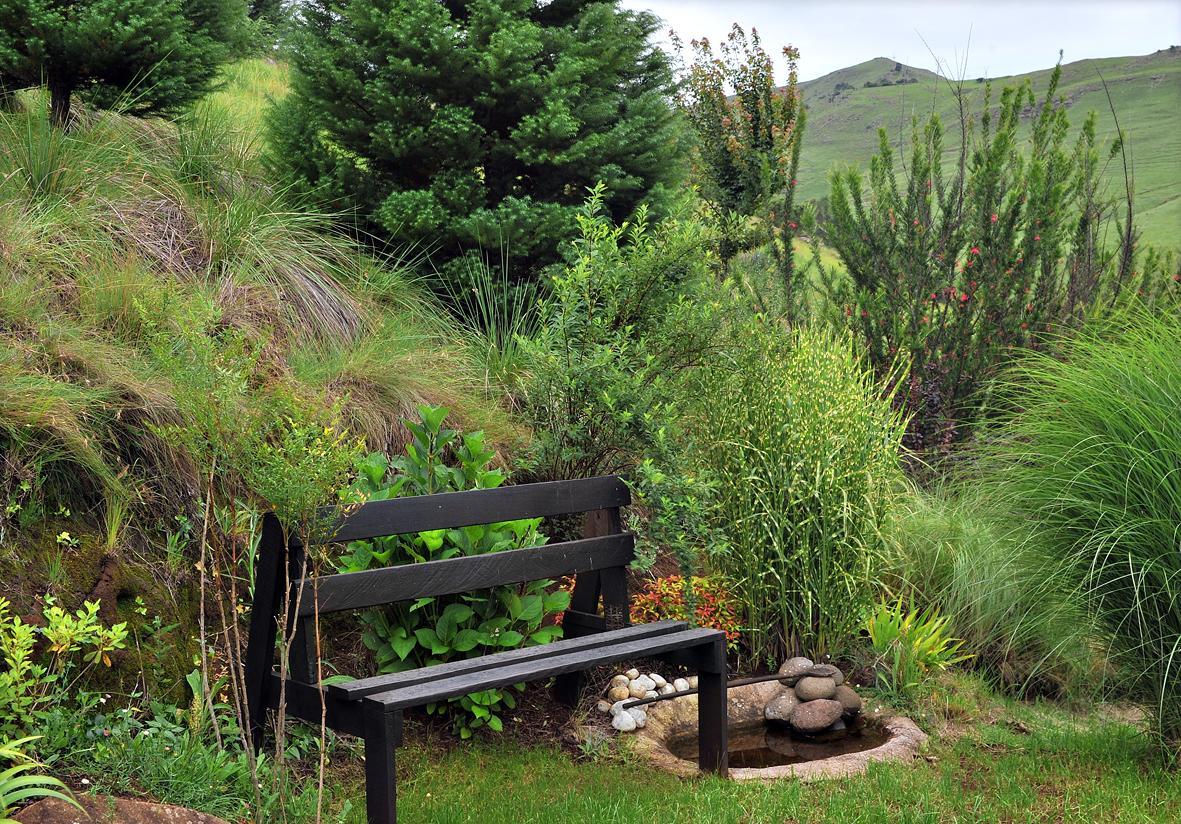 Birches Cottage & The Willows Garden Room Underberg Exterior photo