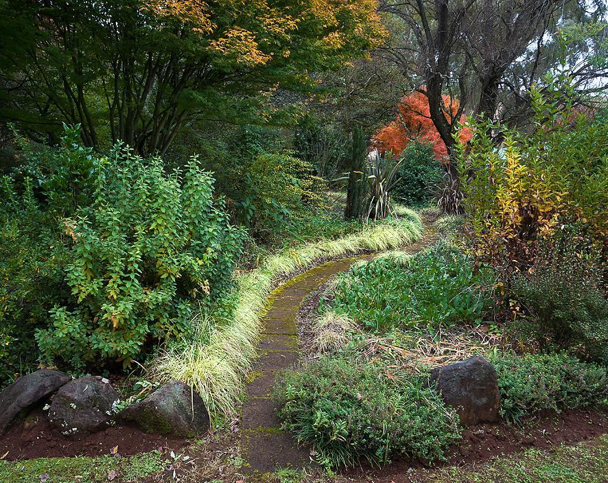 Birches Cottage & The Willows Garden Room Underberg Exterior photo