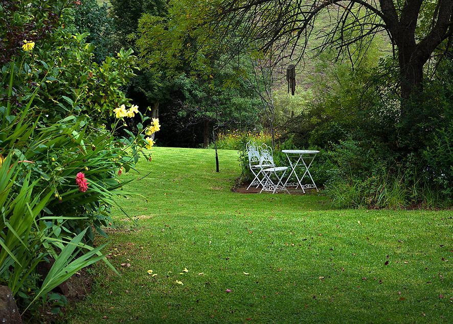 Birches Cottage & The Willows Garden Room Underberg Exterior photo