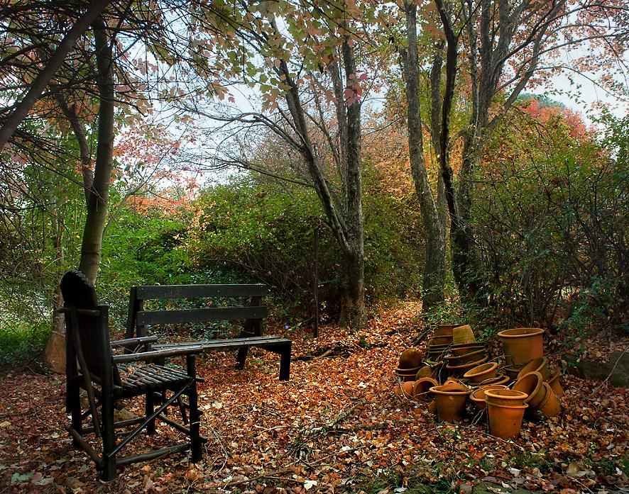 Birches Cottage & The Willows Garden Room Underberg Exterior photo