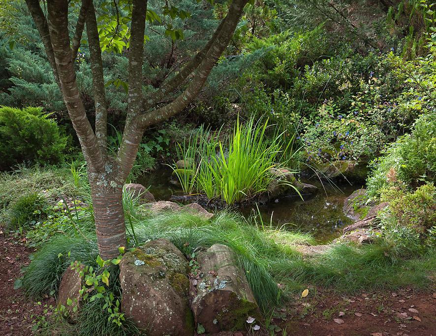 Birches Cottage & The Willows Garden Room Underberg Exterior photo