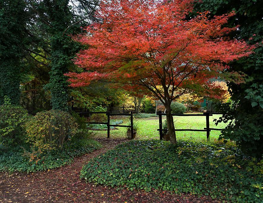 Birches Cottage & The Willows Garden Room Underberg Exterior photo